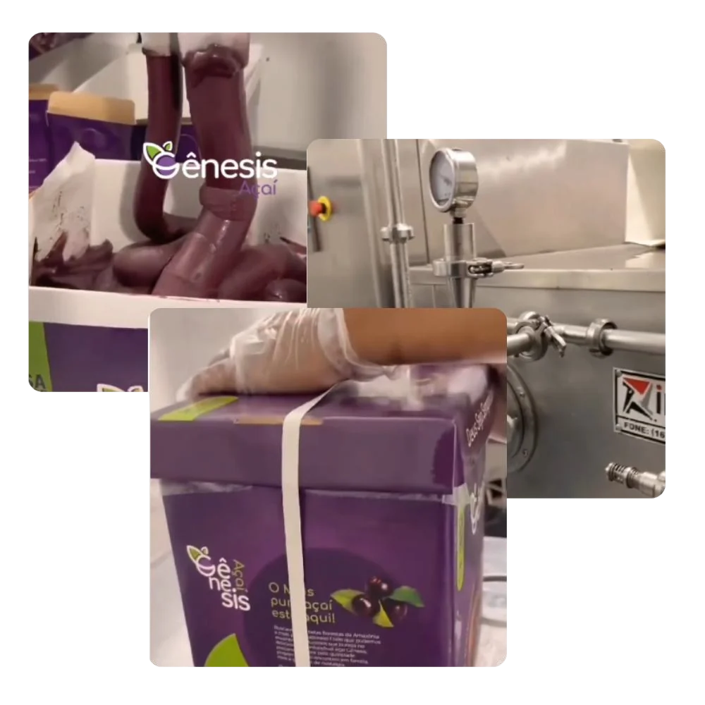 Fábrica Gênesis Açaí